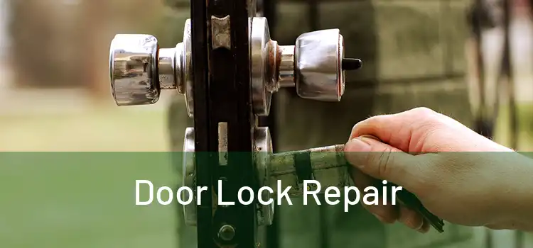 Door Lock Repair